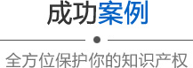 成功案例